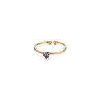 Adjustable 18K Gold-Plated Titanium Steel Birthstone Ring