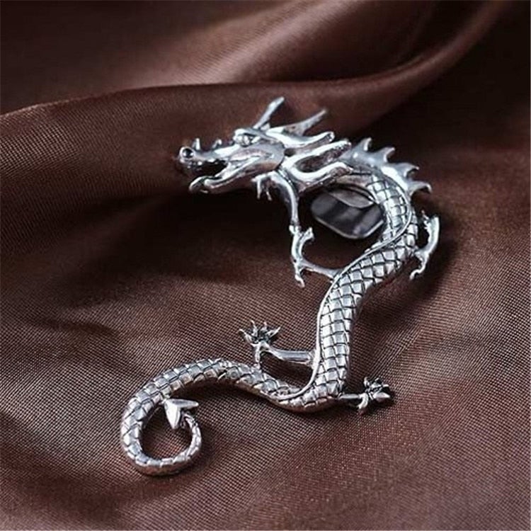 Zilverkleurige drakenoorbellen