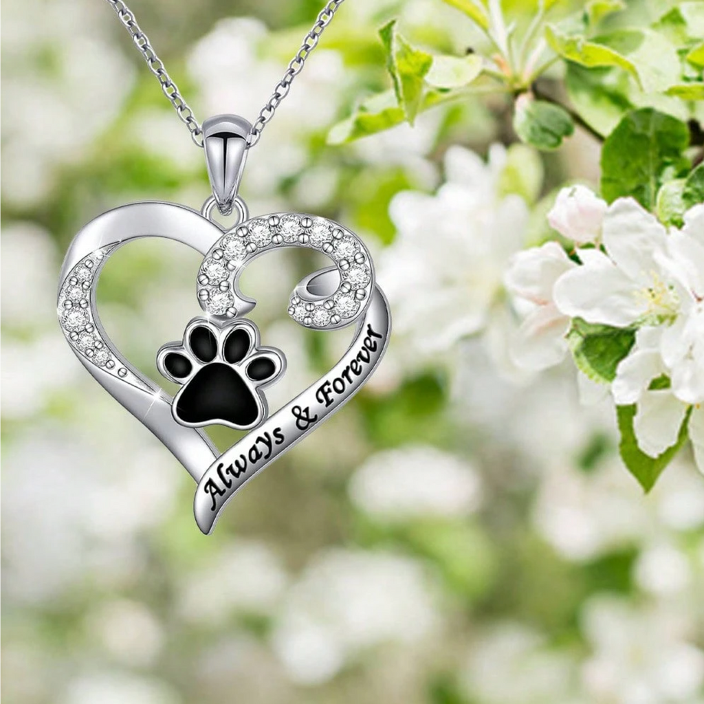 Stainless Steel Dog Paw Heart Necklace with Zirconia