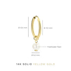 Gold-Tone Hoop Earrings with Small Pearl Drop