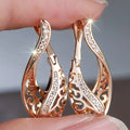 Hollow Curved Earrings