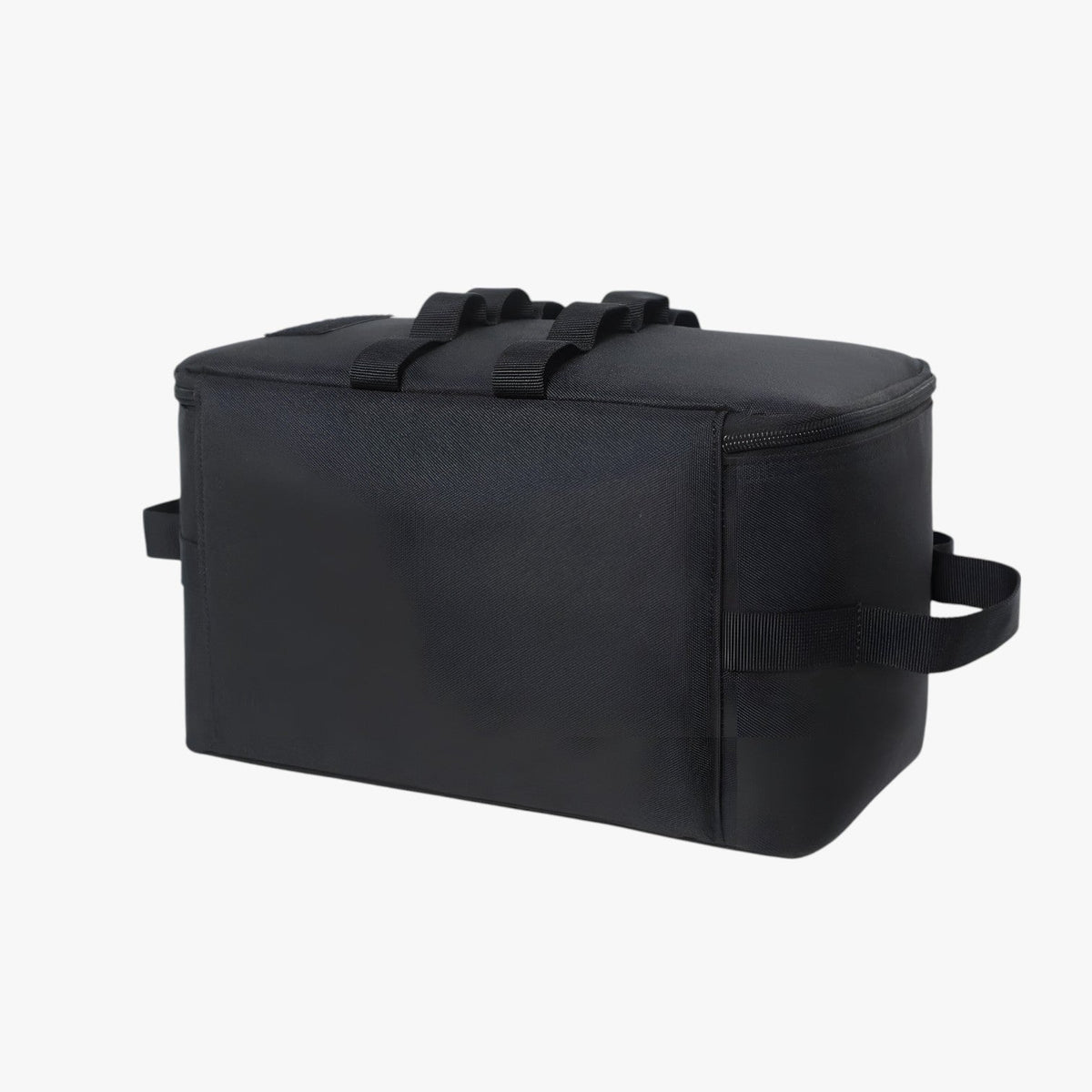 Large-Capacity Insulated Thermal Lunch and Picnic Bag