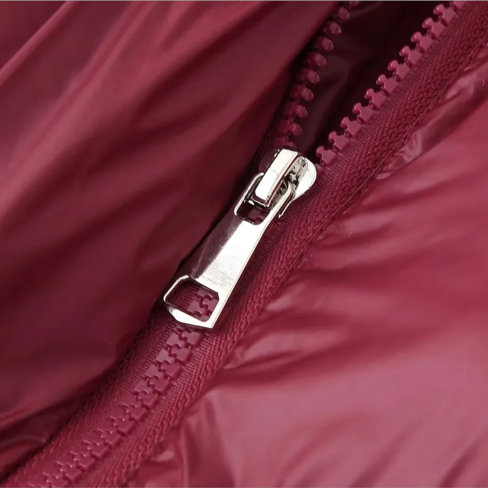 Two-Tone Quilted Hooded Coat with Stand Collar and Zip