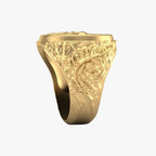 Goudkleurige drakenring, gewikkelde band