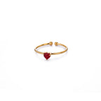 Adjustable 18K Gold-Plated Titanium Steel Birthstone Ring