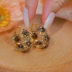 Inlaid Zirconia Sparkle Earrings