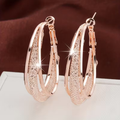 Hollow Mesh Earrings in Three Tones