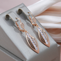 Pointed Zirconia Earrings in Gold Tone